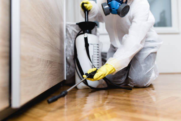 Best Residential Pest Control  in Marianna, FL