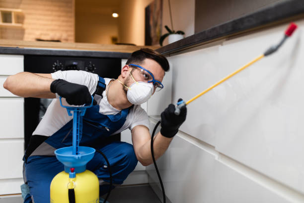 Best Insect Control  in Marianna, FL