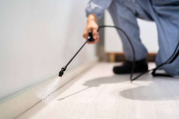 Best Wasp Removal Services  in Marianna, FL