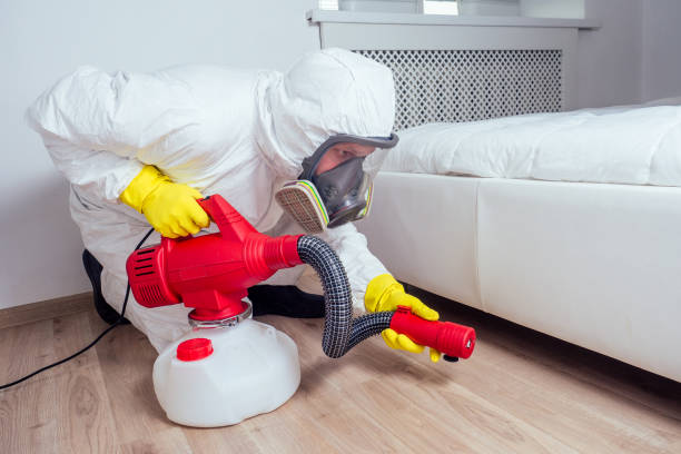 Best Termite Control Services  in Marianna, FL