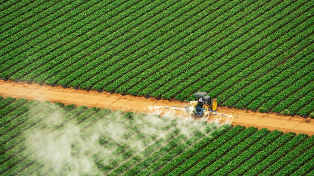 Best Commercial Pest Control Services  in Marianna, FL